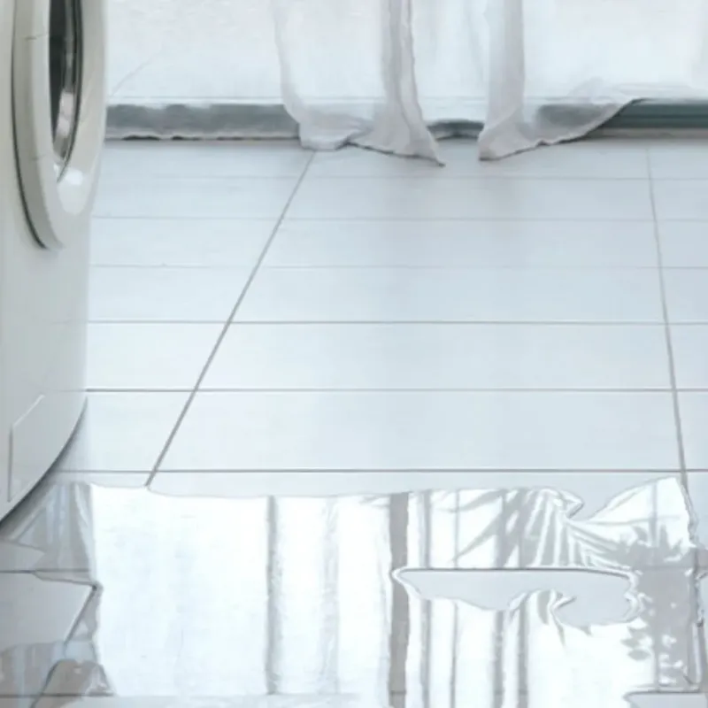Appliance Leak Cleanup in Cedar Rapids, IA