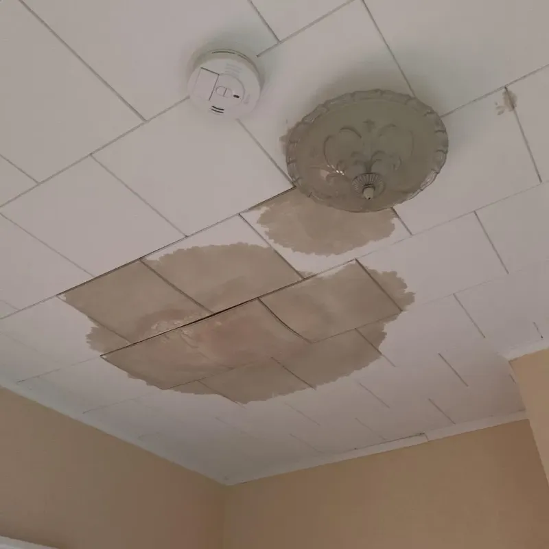 Ceiling Water Damage Repair in Cedar Rapids, IA